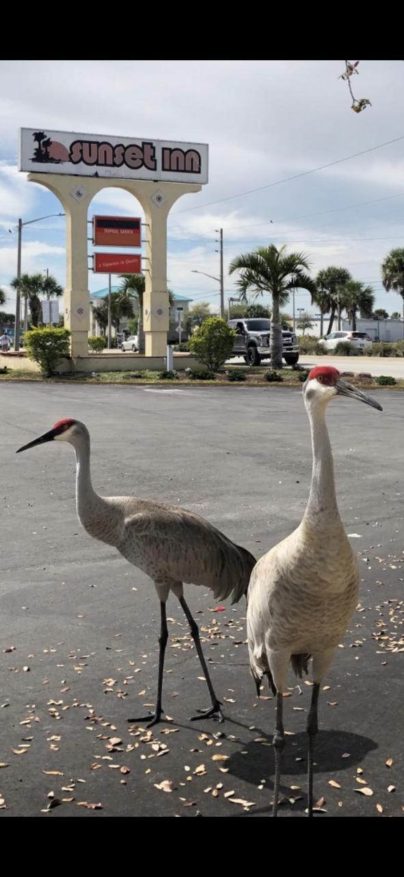 Sunset Inn- Fort Pierce, Fl المظهر الخارجي الصورة